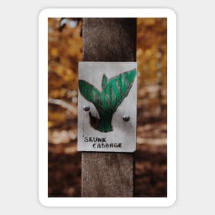 Skunk Cabbage Sticker